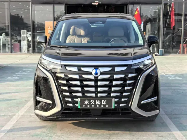 Фотография автомобиля — Denza D9