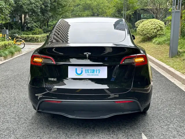 Tesla Model Y — Фото автомобиля 4
