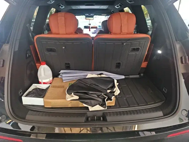 Geely Galaxy M9 — Фото автомобиля 18