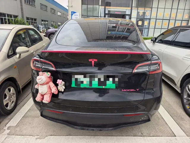 Tesla Model Y — Фото автомобиля 6