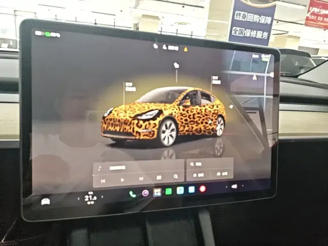 Tesla Model Y — Фото автомобиля 12
