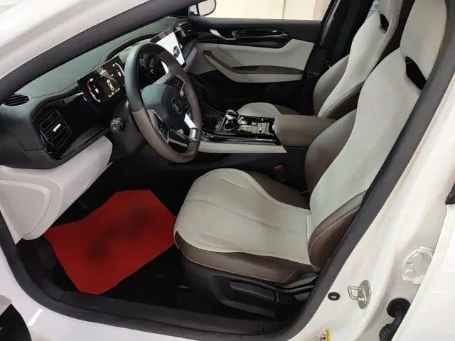 BYD Qin PLUS — Фото автомобиля 15