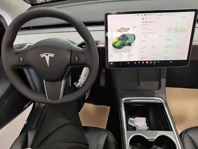 Tesla Model Y — Фото автомобиля 9