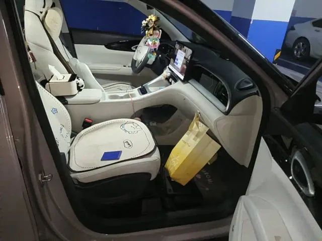 Geely Starry Wish — Фото автомобиля 10
