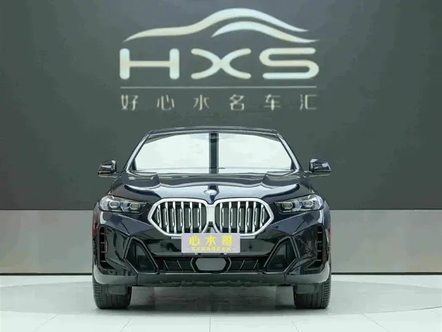 BMW X6 — Фото автомобиля 2