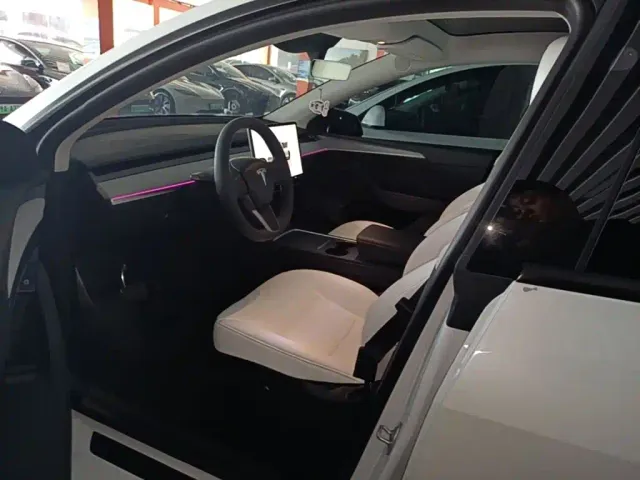 Tesla Model Y — Фото автомобиля 15