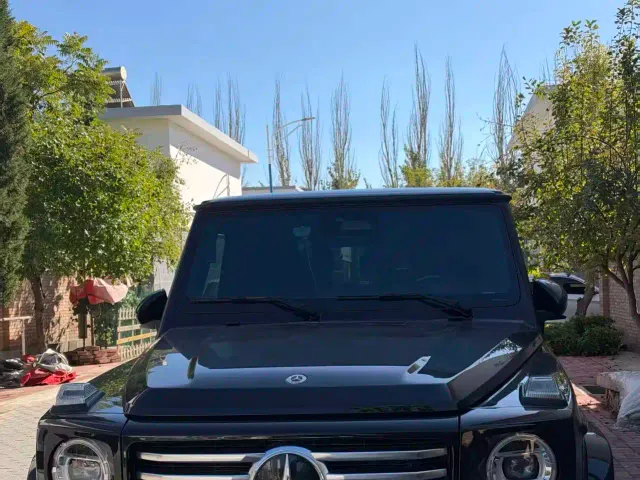 Mercedes-Benz G-Class — Фото автомобиля 2