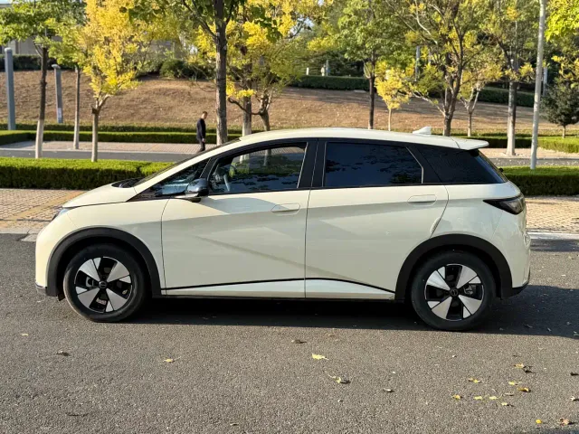 BYD Dolphin — Фото автомобиля 4
