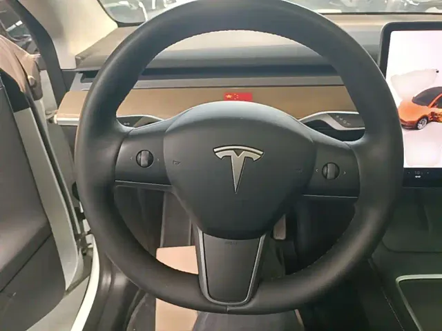Tesla Model Y — Фото автомобиля 10