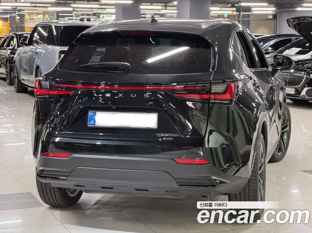 Lexus NX 2nd Gen — Фото автомобиля 3