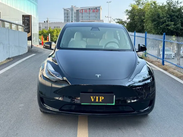 Tesla Model Y — Фото автомобиля 2