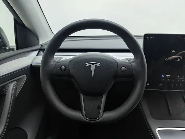 Tesla Model Y — Фото автомобиля 11