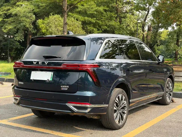 Wey Lanshan — Фото автомобиля 6