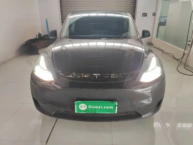 Tesla Model Y — Фото автомобиля 2