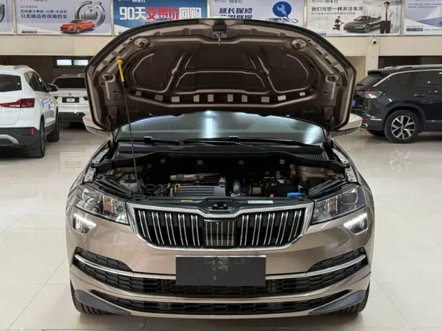 Skoda Karoq — Фото автомобиля 7