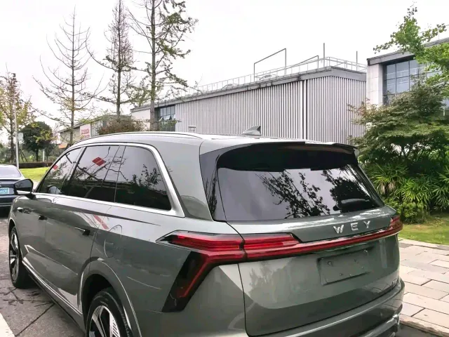 Wey Lanshan — Фото автомобиля 18