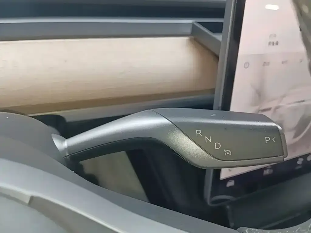 Tesla Model Y 2021 Standard Range Rear-Wheel Drive — Фото автомобиля 13