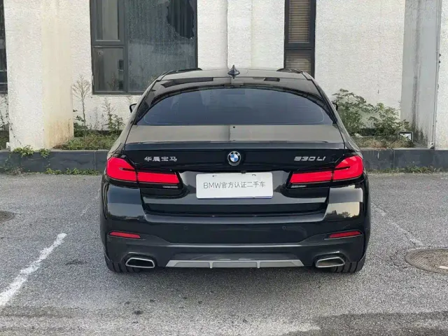 BMW 5 Series — Фото автомобиля 13