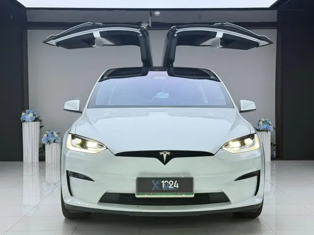 Tesla Model X — Фото автомобиля 2