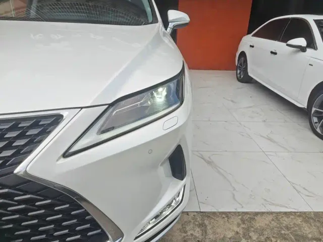 Lexus RX — Фото автомобиля 23