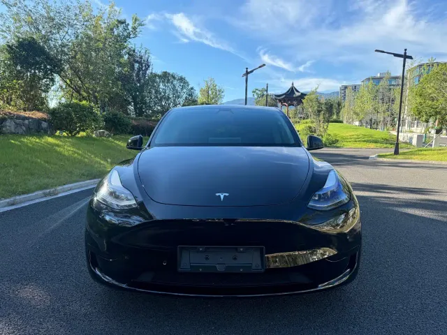 Tesla Model Y — Фото автомобиля 3