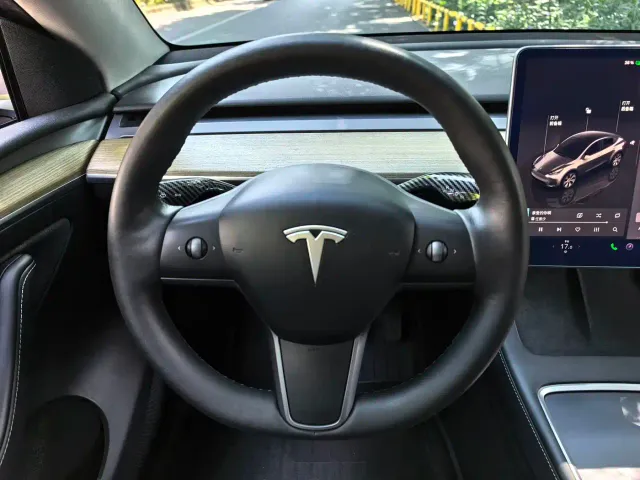 Tesla Model Y — Фото автомобиля 10