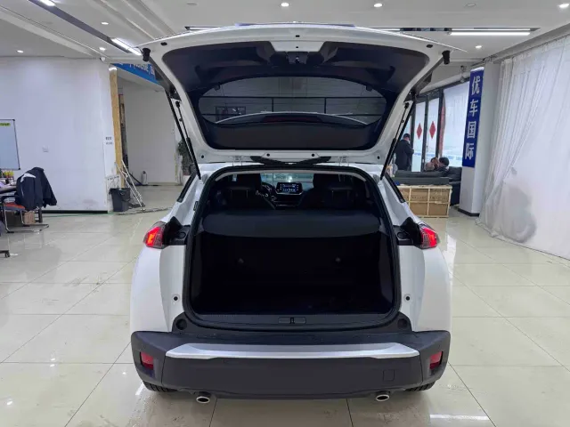Peugeot 2008 — Фото автомобиля 20