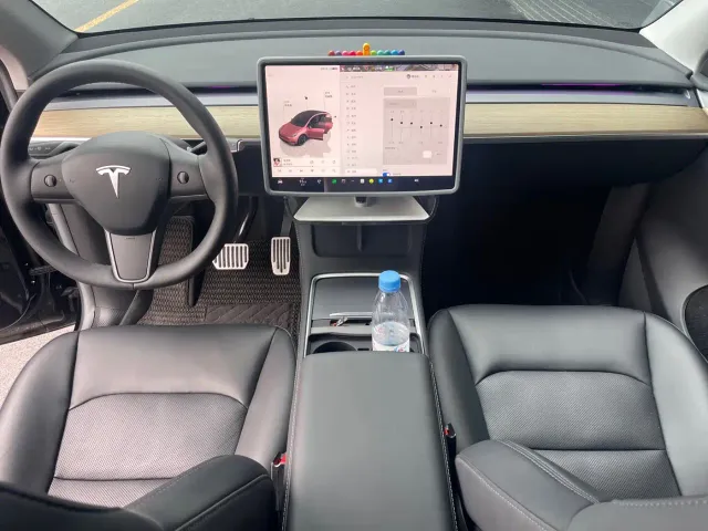 Tesla Model Y — Фото автомобиля 9
