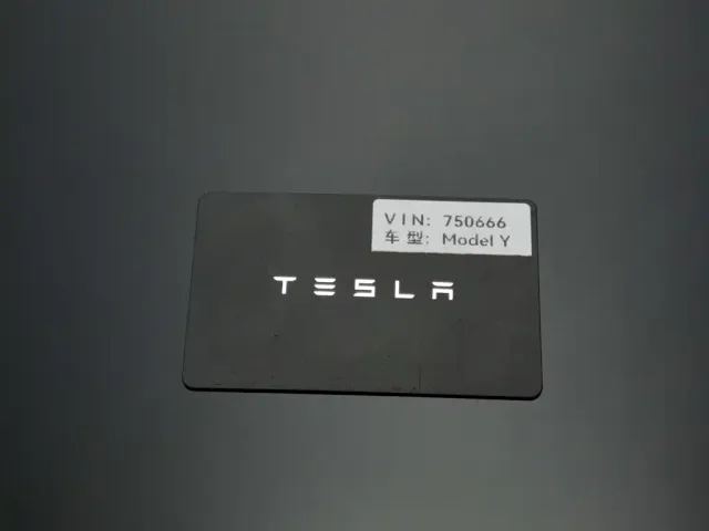 Tesla Model Y — Фото автомобиля 19