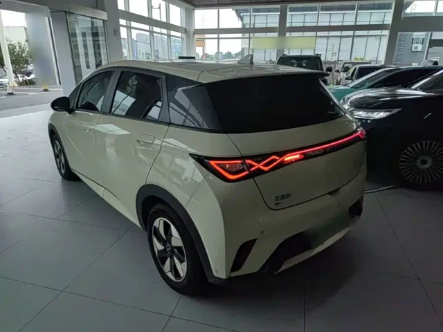 BYD Dolphin — Фото автомобиля 4