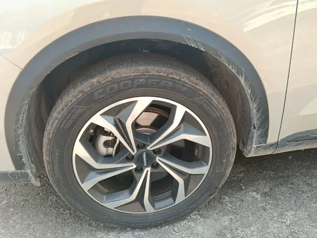 Haval Xiaolong MAX — Фото автомобиля 22