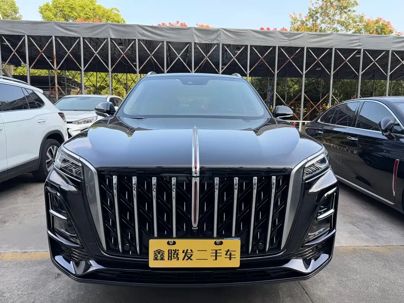 Hongqi Hongqi HS5 2023 2.0T Flag Enjoy Pro Edition — Фото автомобиля 2