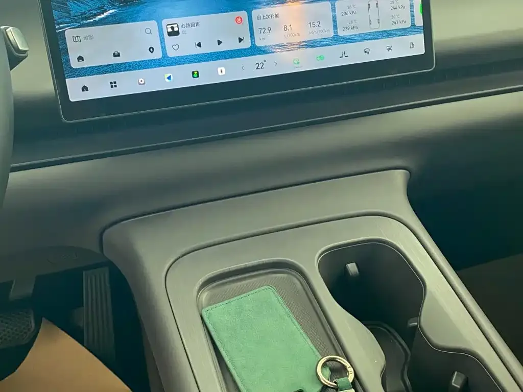 Leapmotor Leapmotor C16 2024 Extended Range 200 Premium Edition — Фото автомобиля 5