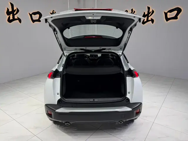 Peugeot 2008 — Фото автомобиля 18