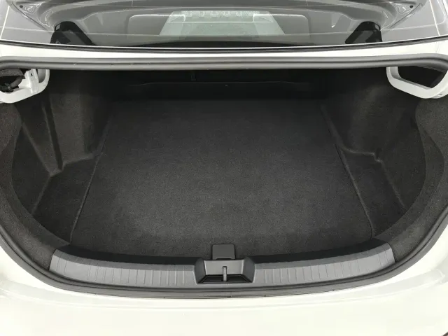 Volkswagen Sagitar — Фото автомобиля 20