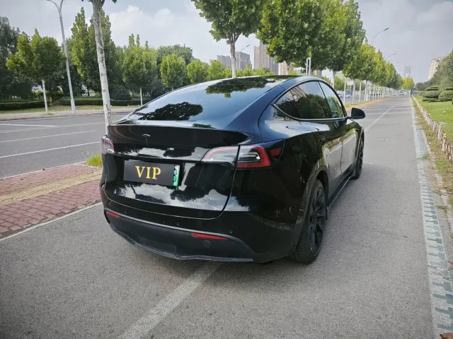 Tesla Model Y — Фото автомобиля 10