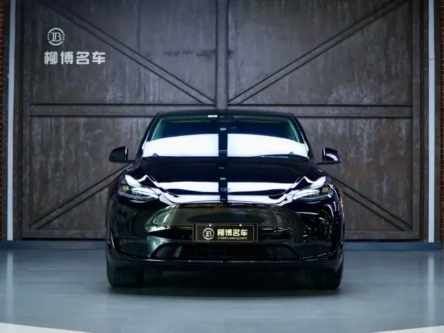 Tesla Model Y — Фото автомобиля 2
