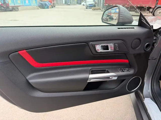 Ford Mustang — Фото автомобиля 15
