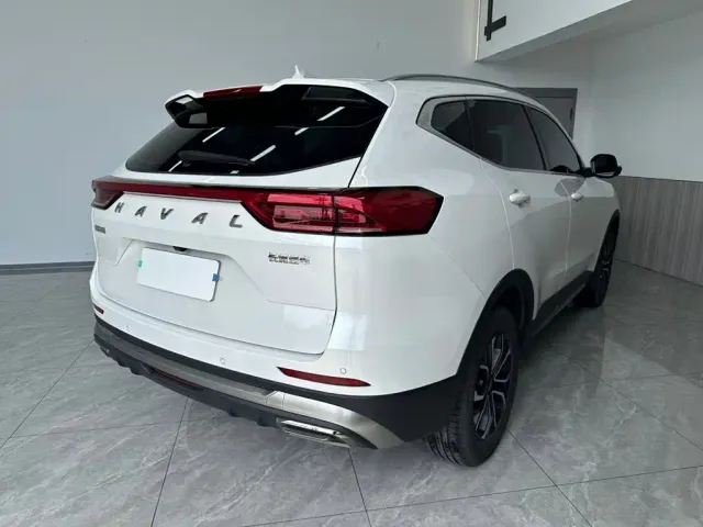 Haval Haval H6 2021 National Trend Edition 1.5T Automatic Urban Edition — Фото автомобиля 6
