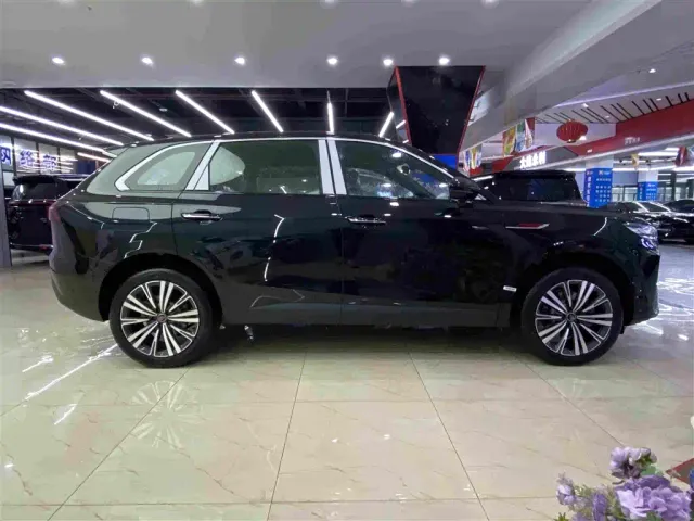 Hongqi HS6 PHEV — Фото автомобиля 15