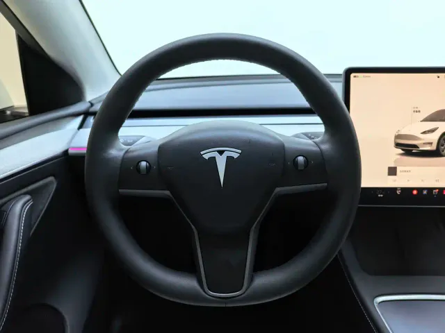 Tesla Model Y — Фото автомобиля 6