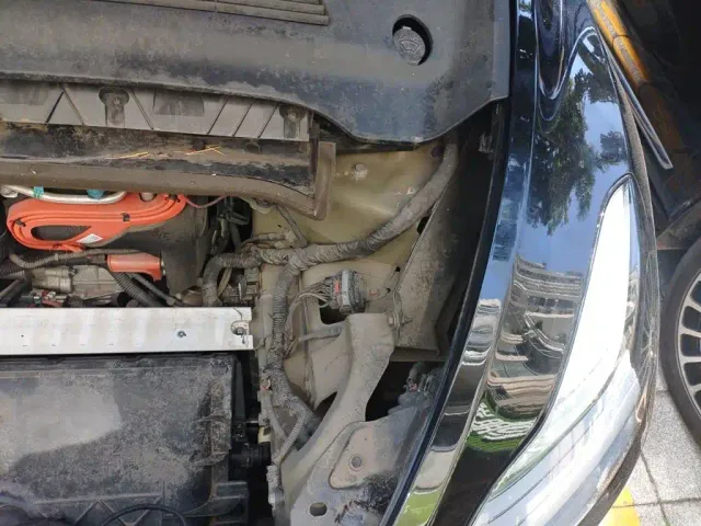 Tesla Model Y — Фото автомобиля 22
