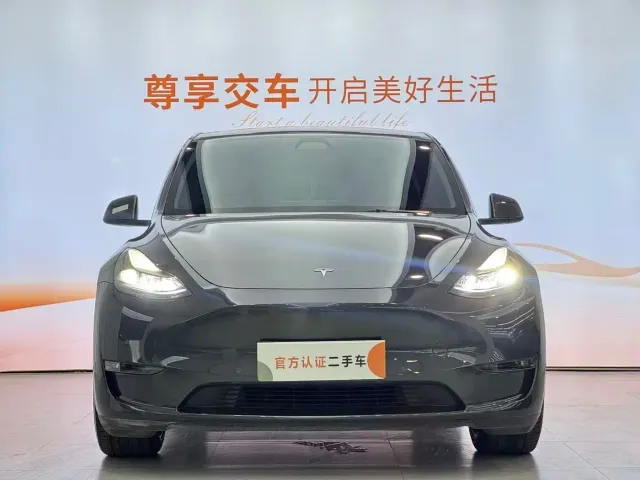 Tesla Model Y — Фото автомобиля 2