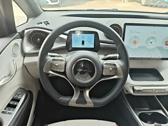 BYD Dolphin — Фото автомобиля 10