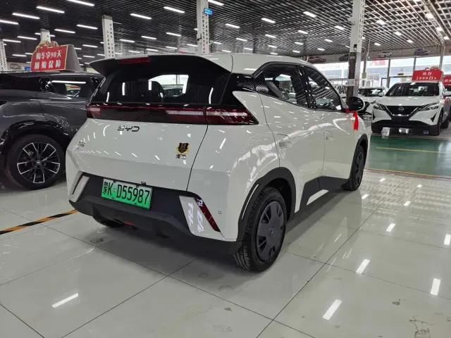 BYD Seagull — Фото автомобиля 4