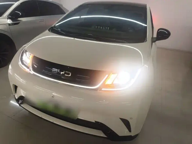 BYD Dolphin — Фото автомобиля 2