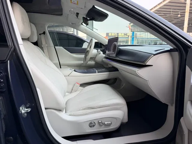 Buick Electra L7 — Фото автомобиля 14