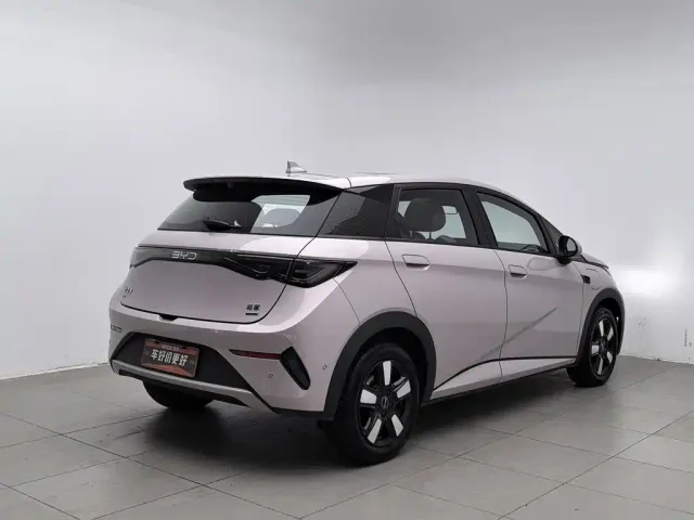 BYD Dolphin — Фото автомобиля 2