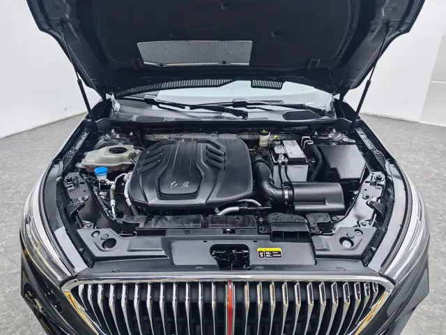 Hongqi H5 — Фото автомобиля 12