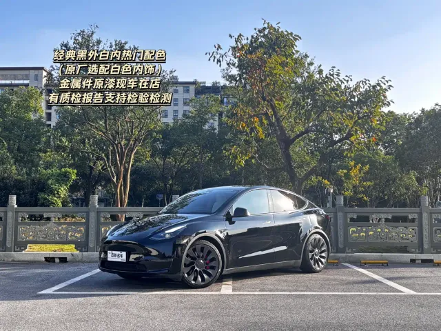 Фотография автомобиля — Tesla Model Y